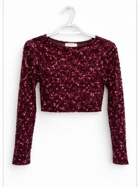 Sequin Crop Long-Sleeve Top - Burgundy